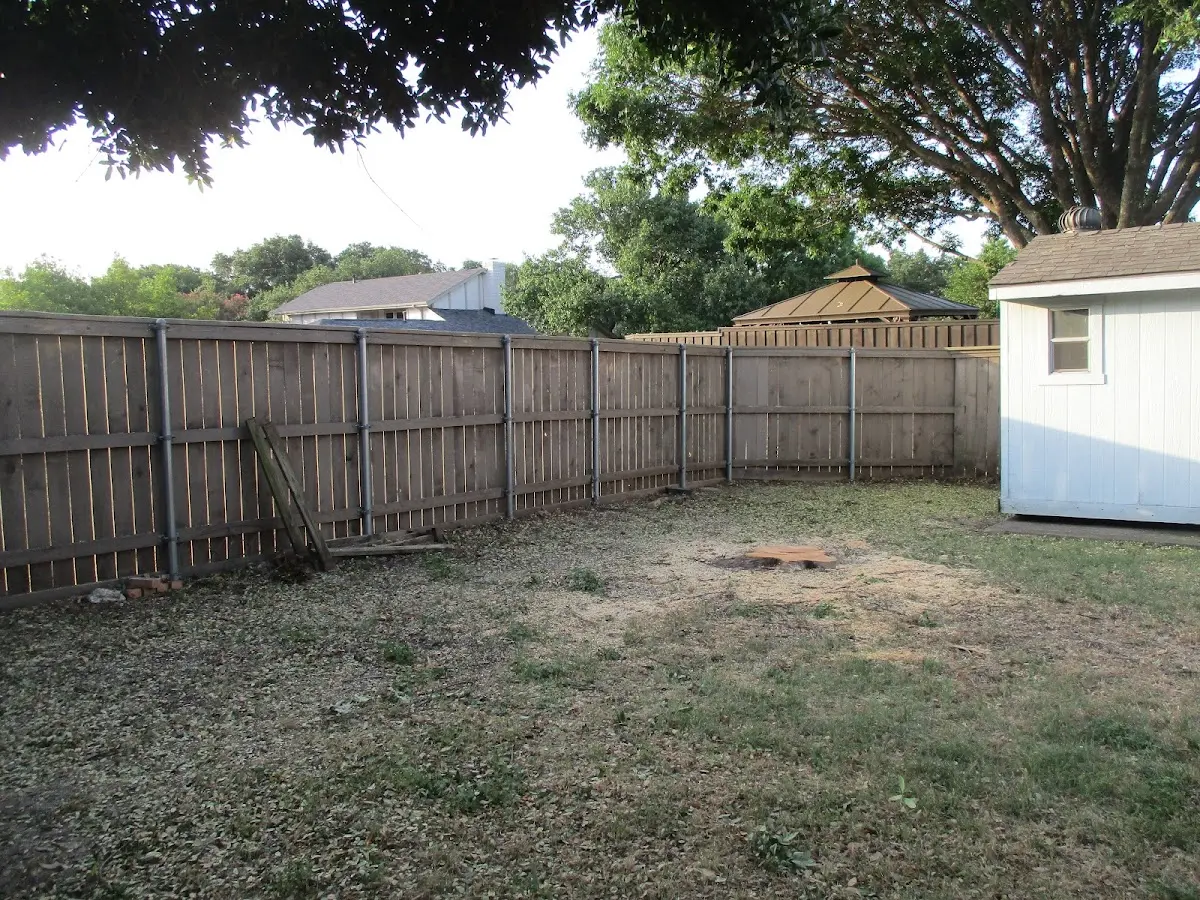 Cleared yard after professional tree removal in Canterbury